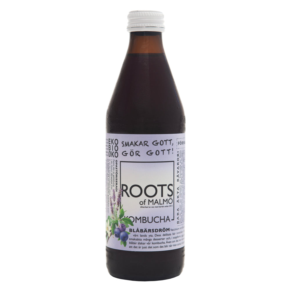 Kombucha - Blåbärsdröm EKO 33cl