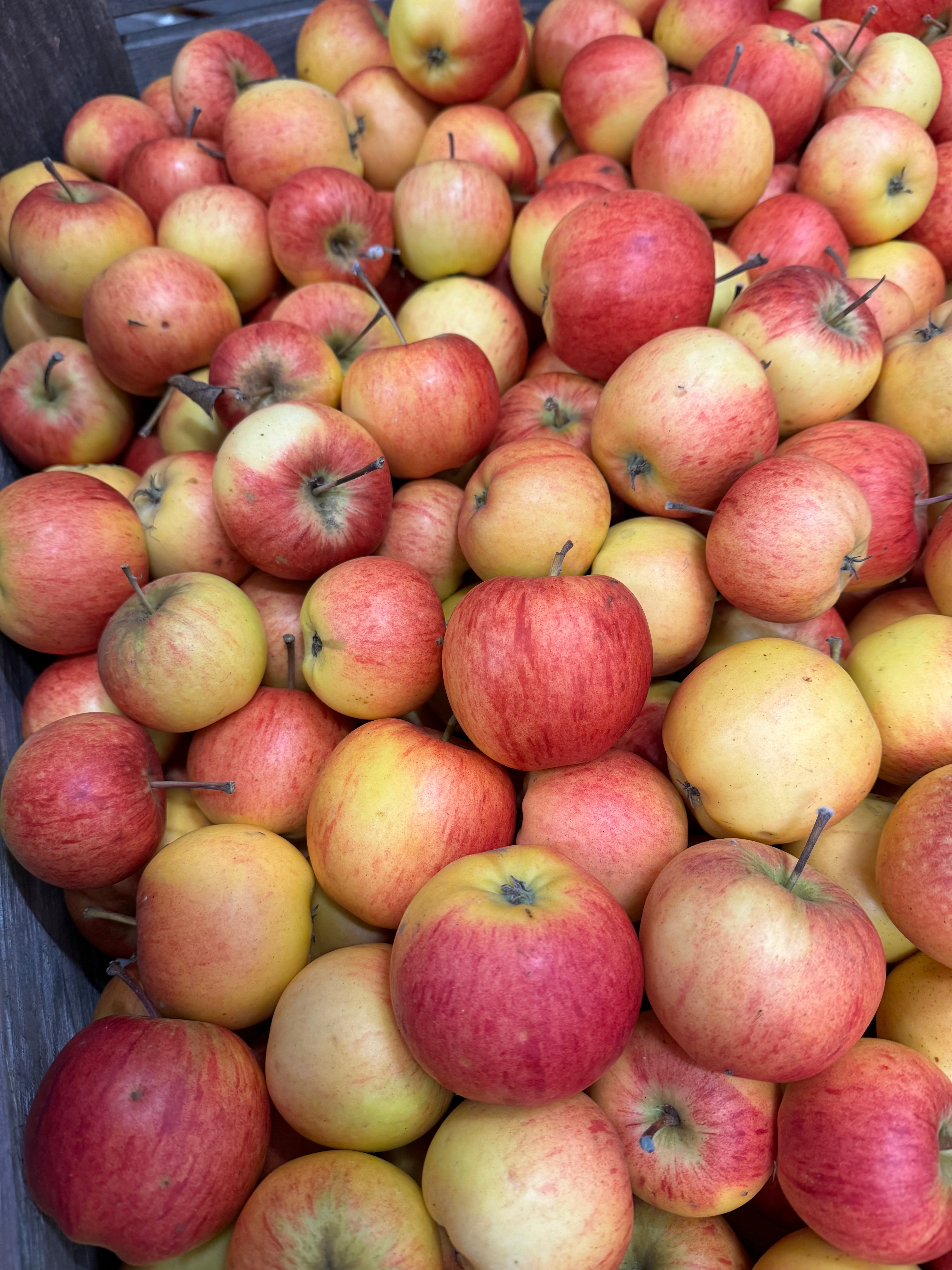 Äpple - Rubinola 1kg