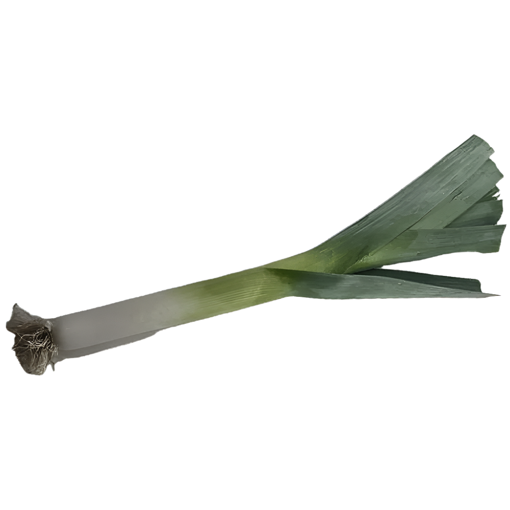 Purjolök 2-pack