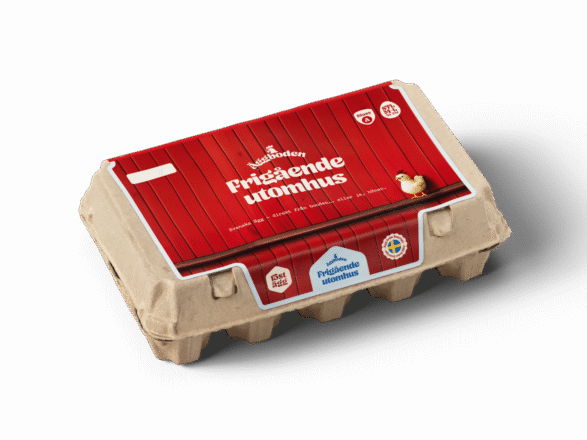 Ägg - Frigående höns utomhus 15-pack