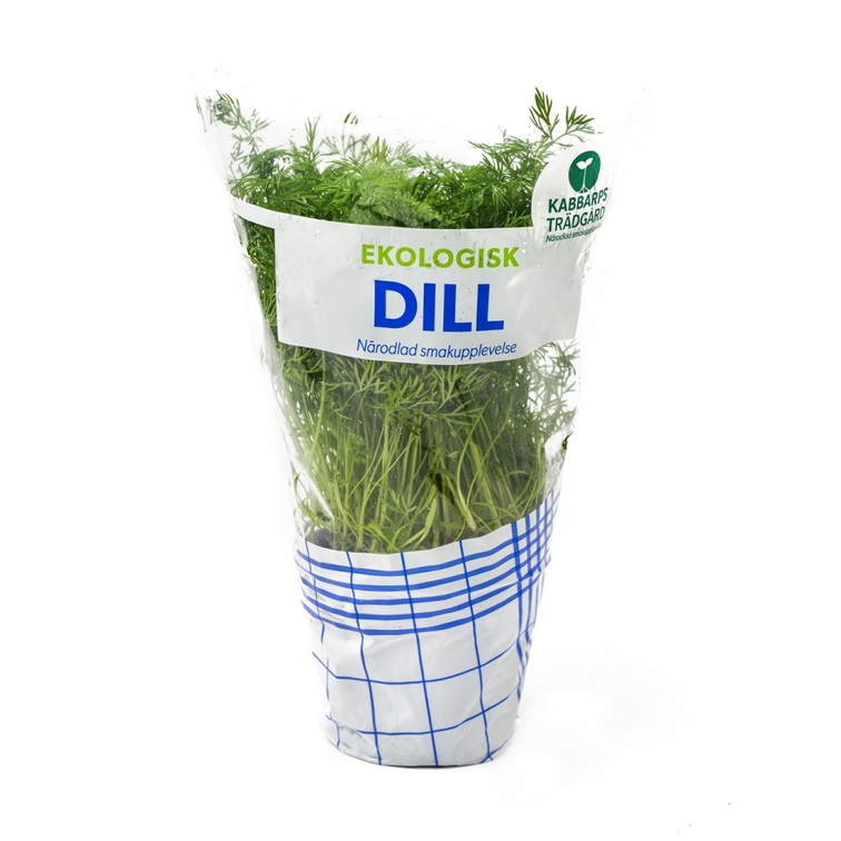Dill EKO