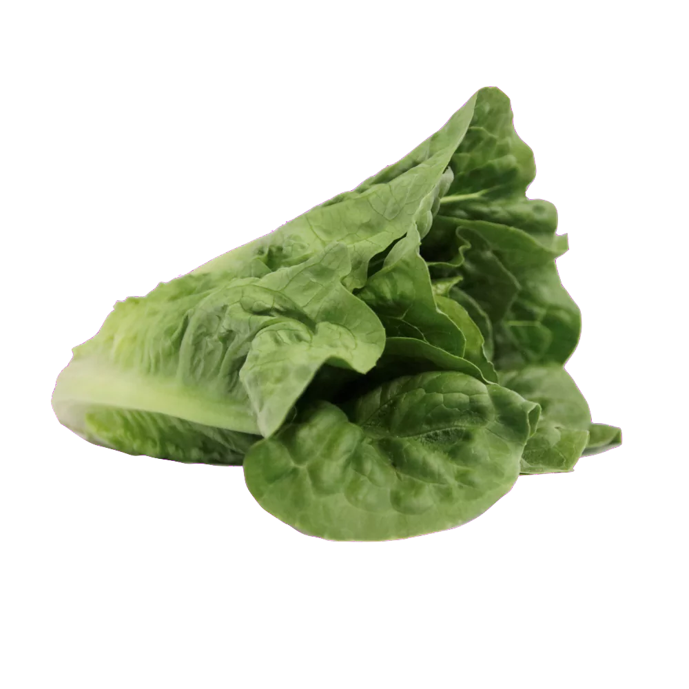 Romansallad